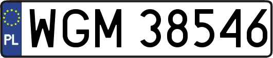 WGM38546