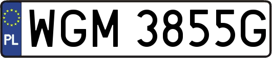WGM3855G