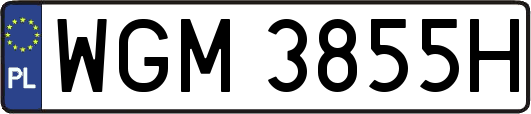 WGM3855H