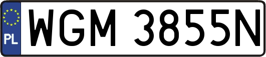 WGM3855N