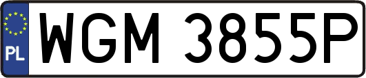 WGM3855P