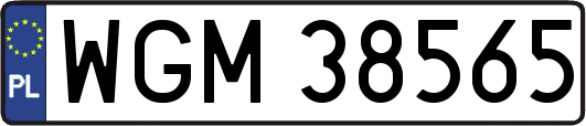 WGM38565