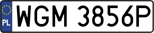 WGM3856P
