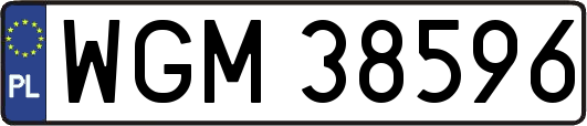 WGM38596