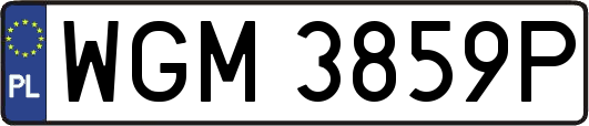 WGM3859P