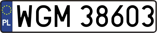 WGM38603