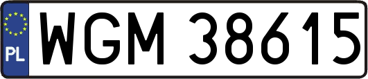 WGM38615