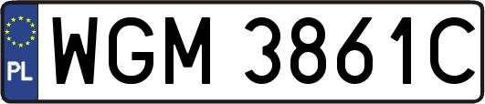 WGM3861C