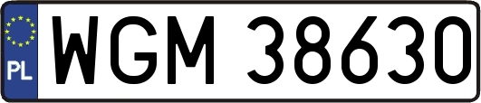 WGM38630
