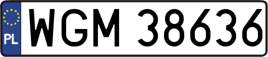 WGM38636