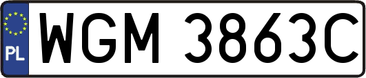 WGM3863C