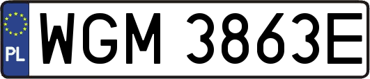 WGM3863E