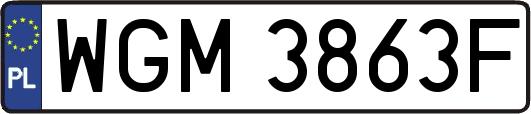 WGM3863F