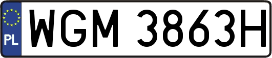 WGM3863H