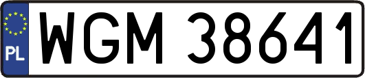 WGM38641