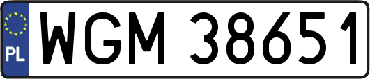 WGM38651