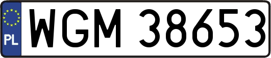 WGM38653