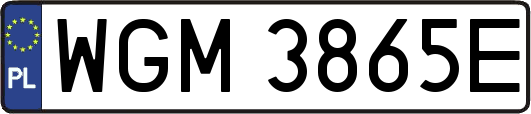 WGM3865E