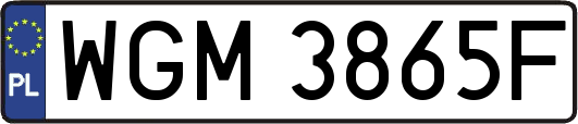 WGM3865F