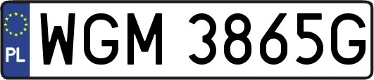 WGM3865G