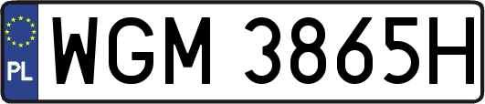 WGM3865H