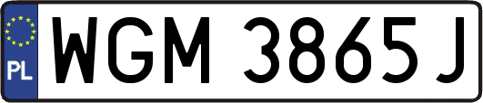 WGM3865J
