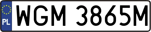 WGM3865M