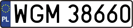WGM38660