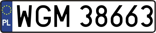 WGM38663