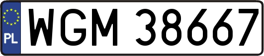 WGM38667