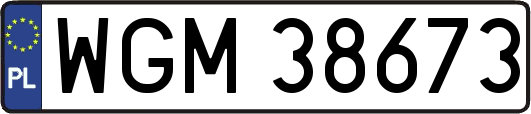 WGM38673
