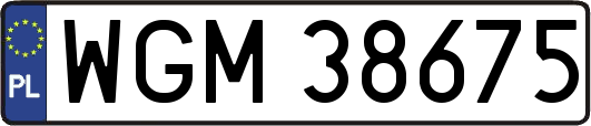 WGM38675