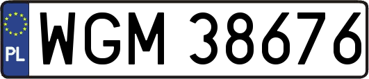 WGM38676