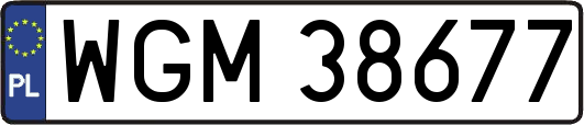 WGM38677