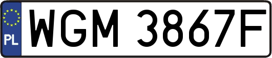 WGM3867F