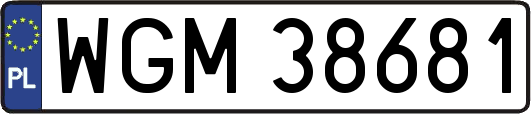 WGM38681