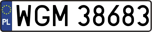 WGM38683