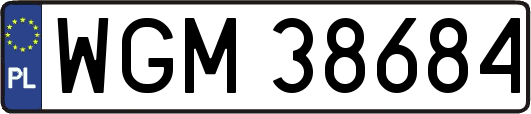 WGM38684