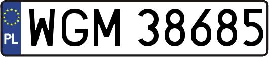 WGM38685