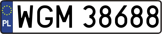WGM38688
