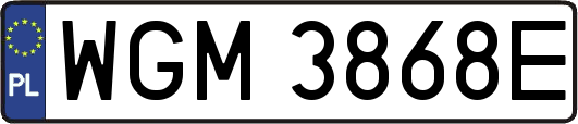 WGM3868E