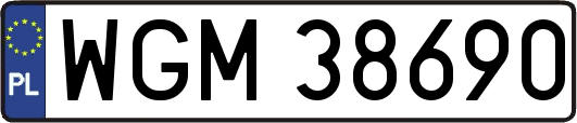 WGM38690