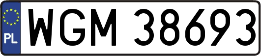 WGM38693