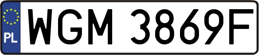 WGM3869F