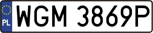 WGM3869P