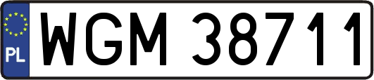WGM38711