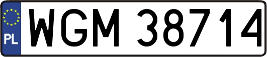 WGM38714