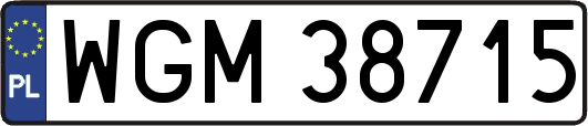WGM38715