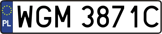 WGM3871C