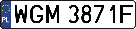 WGM3871F
